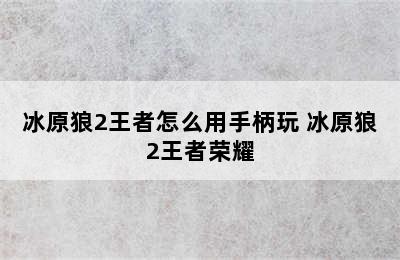 冰原狼2王者怎么用手柄玩 冰原狼2王者荣耀